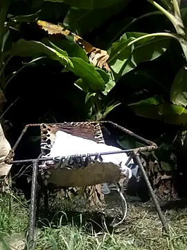 PIG_Spitfeetdirty's cam snapshot