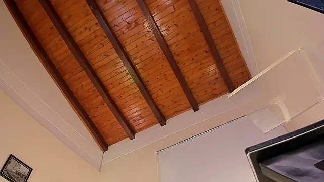 ArchieCollins's cam snapshot