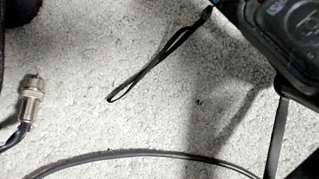 Brock_hurn1's cam snapshot