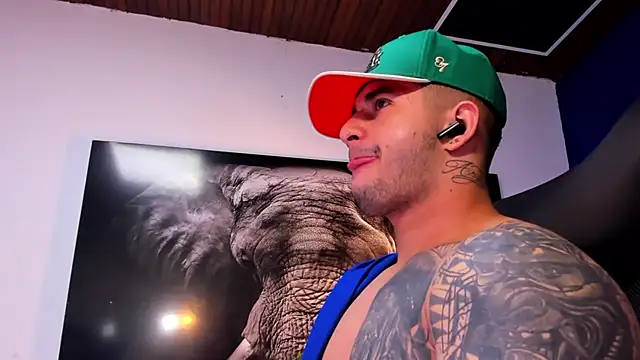 king_falconer's cam snapshot