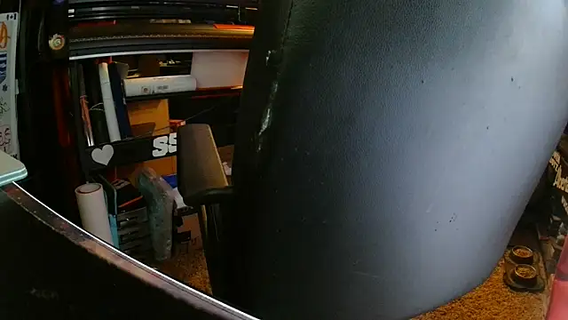 Bowerboi's cam snapshot