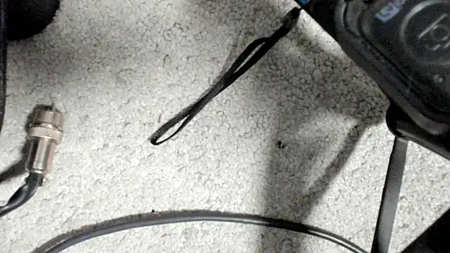 Brock_hurn1's cam snapshot