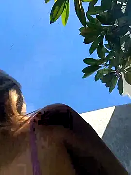 Beverly-hillls's web cam