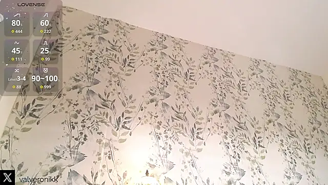 Valxyou's cam snapshot