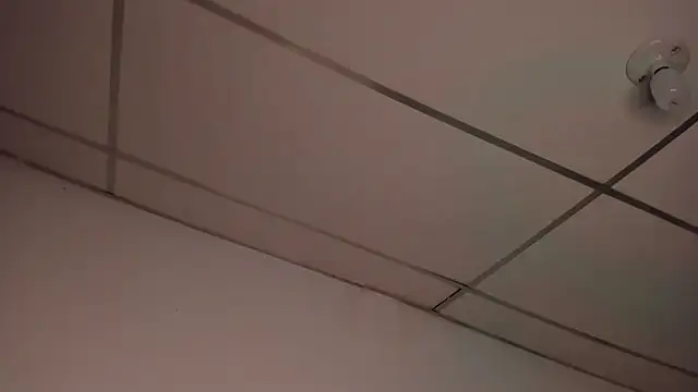 VeloraVyxen_'s cam snapshot