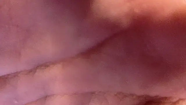 sun_place's cam snapshot