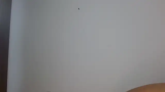 dasha_naughty's cam snapshot