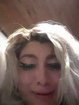 Hollywouldd's cam snapshot