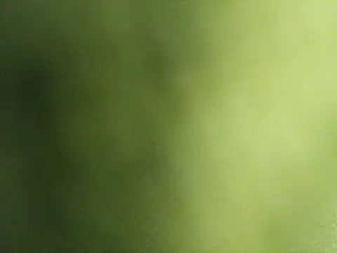 Princessroooh's cam snapshot