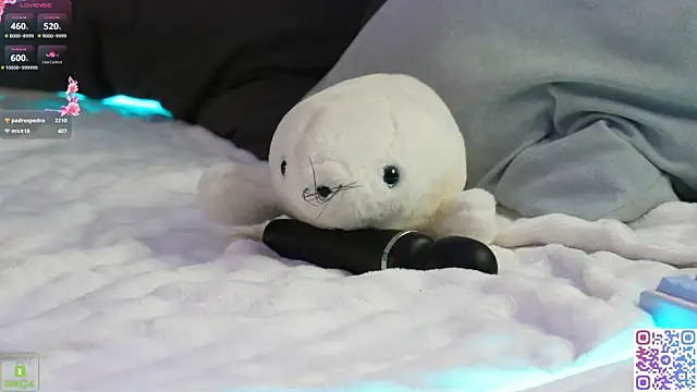 Hochu_Labubu's cam snapshot