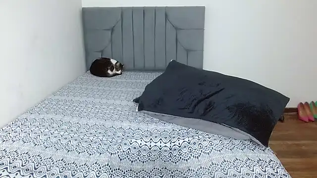 celeste_2023's cam snapshot