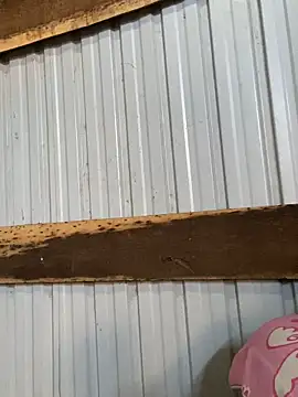 Xoxo237's cam snapshot