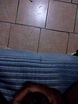 Pridebigdick's web cam