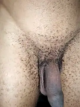 king-Camino's cam snapshot