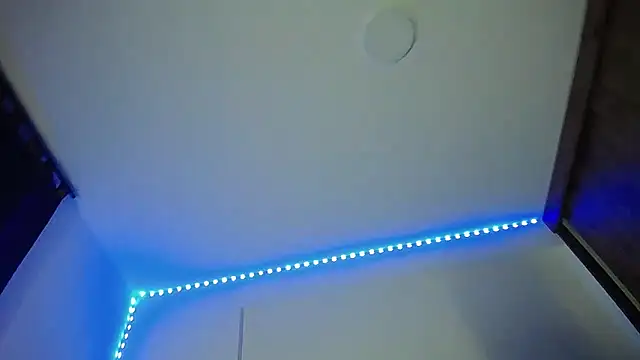 Denzo_cornell1's cam snapshot