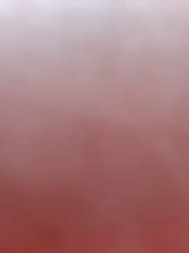 LUCKY_cut's cam snapshot