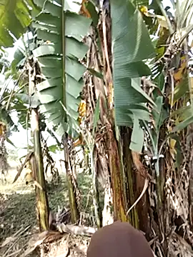 holygrail001's cam snapshot