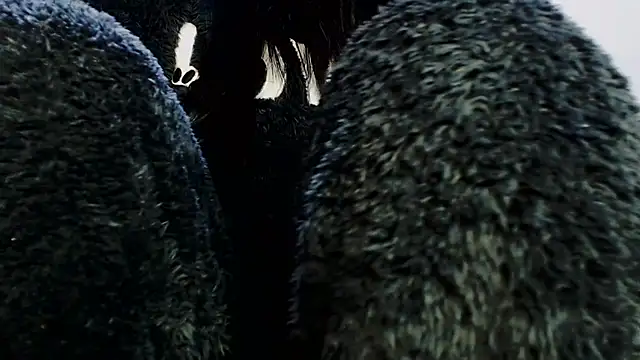 sahtlove1's cam snapshot