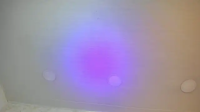 Sophie_teller's cam snapshot