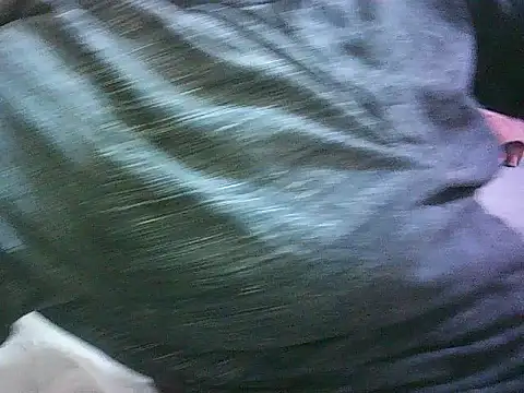 Sexey-amanda's web cam