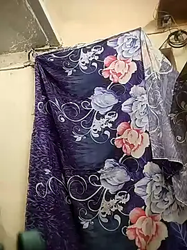 meenu_bhabhi547's cam snapshot