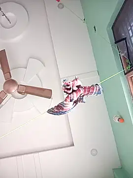 supcpl's cam snapshot