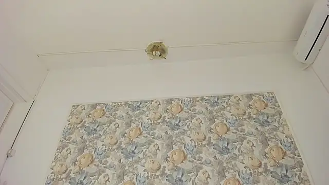 illegal_lorry's cam snapshot