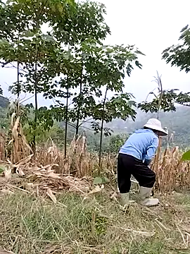 Tin_tanny's cam snapshot