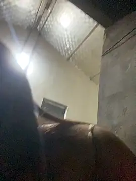 muti99's cam snapshot