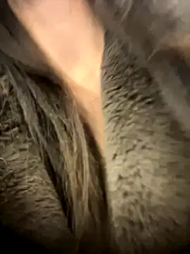 tiantiandao's cam snapshot