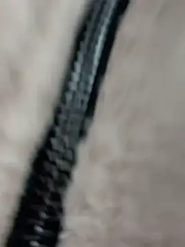 LikaCat's cam snapshot