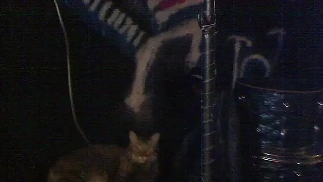 DREAMZ420's cam snapshot