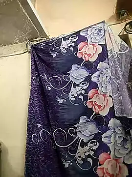 meenu_bhabhi547's cam snapshot