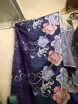 meenu_bhabhi547's cam snapshot