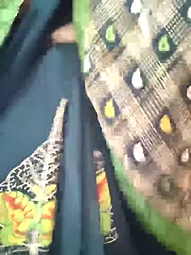 Simran_bhabhi0's cam snapshot