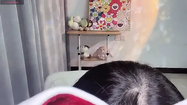 swstam-sr's cam snapshot