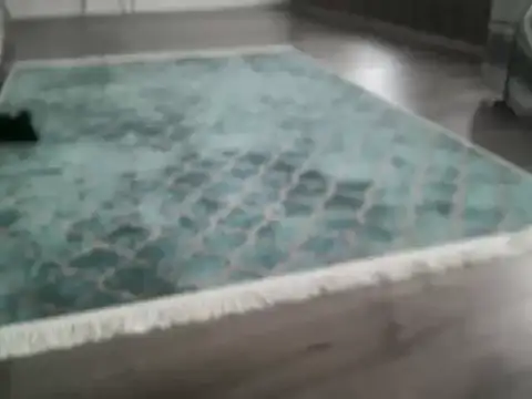 ALPHANDRE's cam snapshot