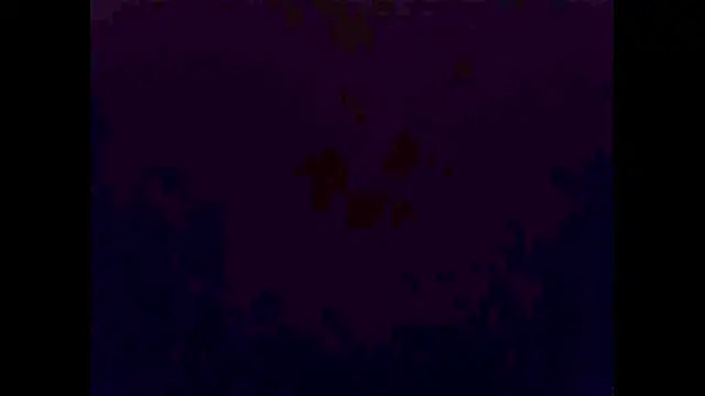 hairyuncut00 live sex cam