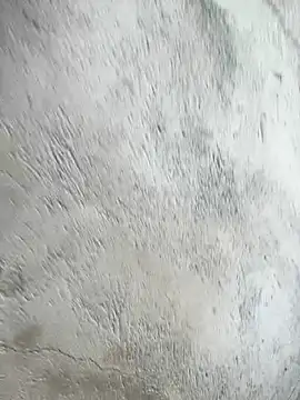 morsishere's cam snapshot