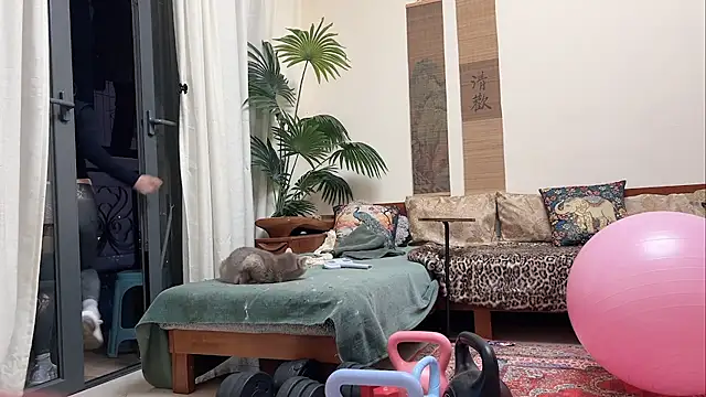 lingzi9333's cam snapshot