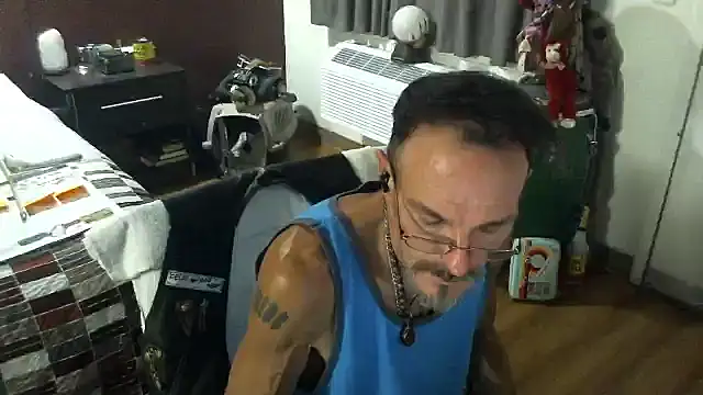 ibPMS's cam snapshot