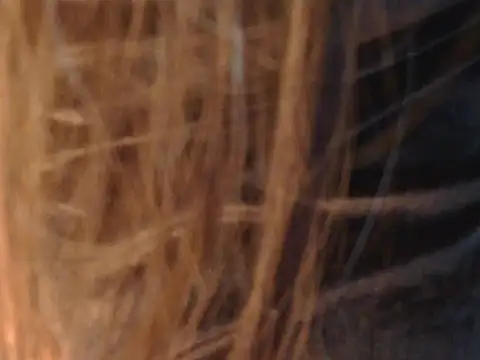 Riyaa_Kaur's cam snapshot