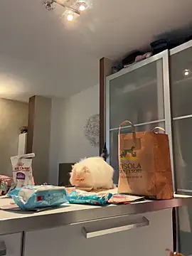 casalinga88's cam snapshot