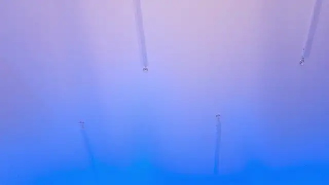 kaya_scodelario1's cam snapshot