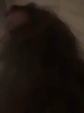 bunnythetailor live sex cam