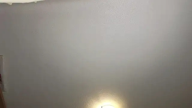 curiosillo83 live sex cam