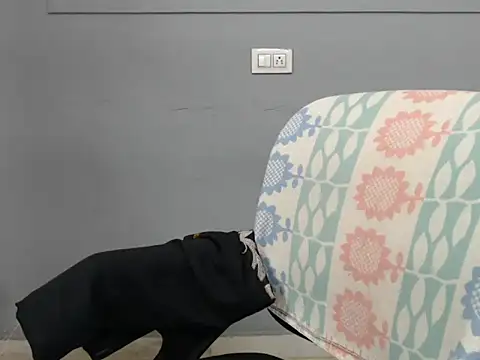 Surjeet_Kaur's cam snapshot