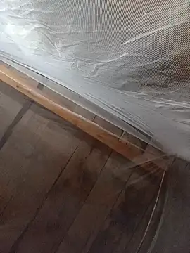 TinTin321's cam snapshot