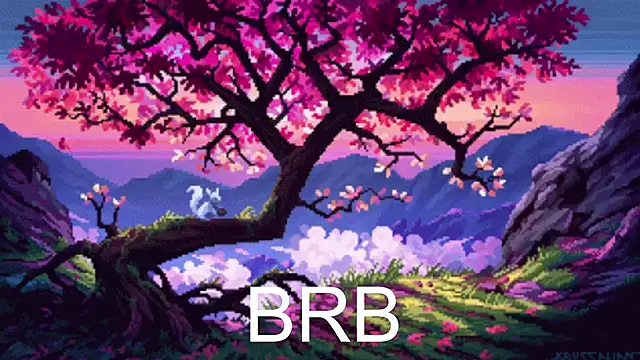 SunnySprinkle's web cam