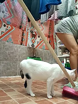 victoria_wayne's cam snapshot